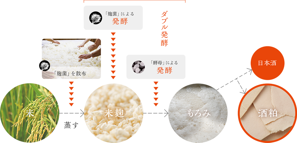 酒粕の作り方