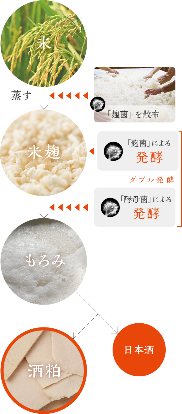 酒粕の作り方