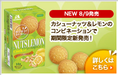 �ޥ�����󥰥�����