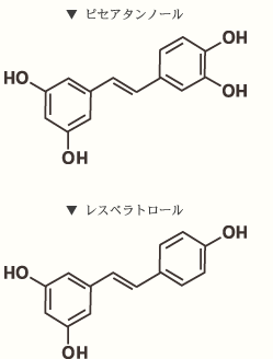 ピセアタンノール、レスベラトロール