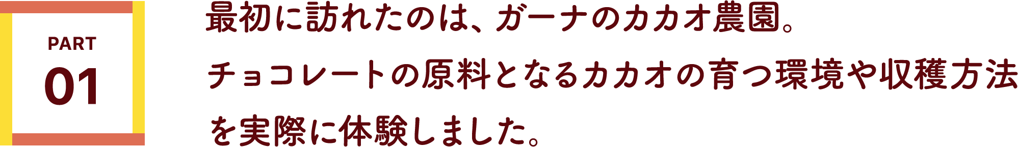 最初に訪れたのは、ガーナのカカオ農園。
                        チョコレートの原料となるカカオの育つ環境や収穫方法を実際に体験しました。