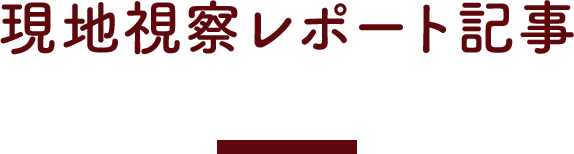 現地視察レポート記事