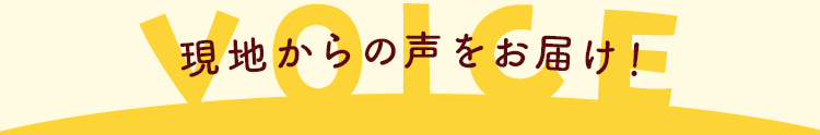 現地からの声をお届け