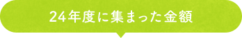 24年度特別期間に集まった⾦額