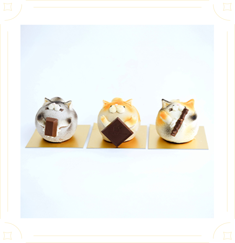 茶トラ、サバトラ、ミケ