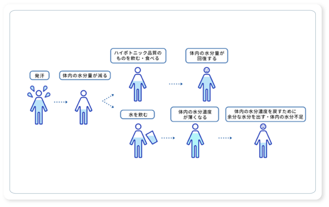 体内水分量 イラスト