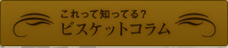 ビスケットコラム