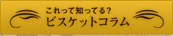ビスケットコラム
