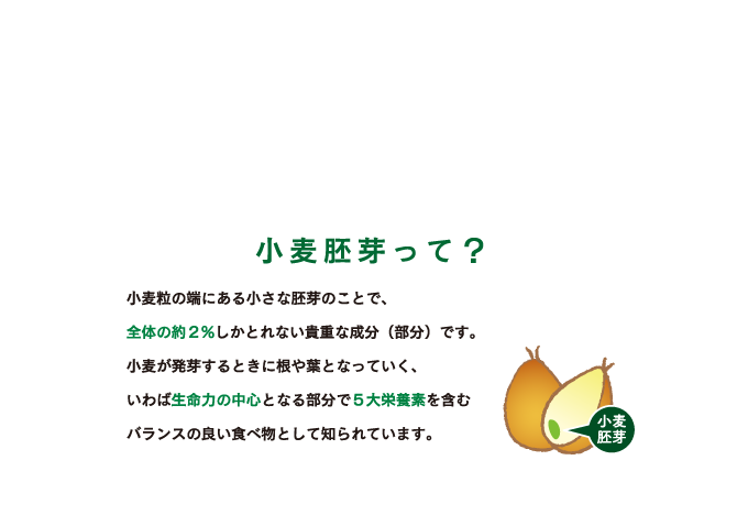 小麦胚芽ってどんなもの？小麦粒の端にある小さな胚芽のことで、全体の約2%しかとれない貴重な成分（部分）です。小麦が発芽するときに根や葉となっていく、いわば生命力の中心となる部分で5大栄養素を含むバランスの良い食べ物として知られています。