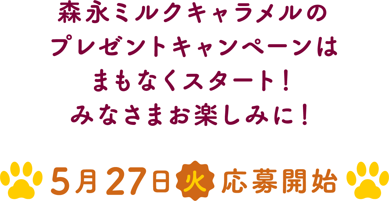 森永ミルクキャラメルのプレゼントキャンペーンはまもなくスタート！みなさまお楽しみに！5月27日火 応募開始