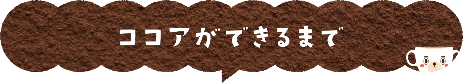 ココアができるまで