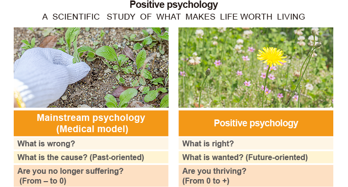 What is positive psychology?
