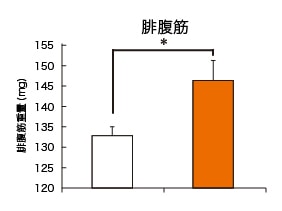 腓腹筋