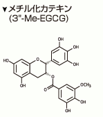 メチル化カテキン