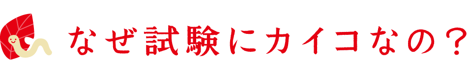 なぜ試験にカイコなの？