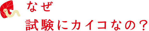 なぜ試験にカイコなの？