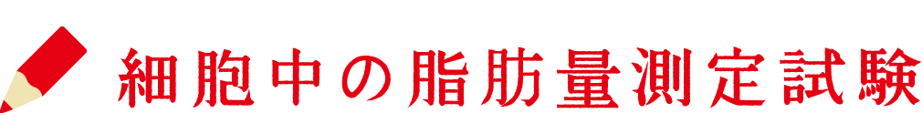 細胞中の脂肪量測定試験