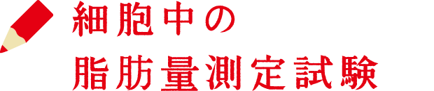 細胞中の脂肪量測定試験