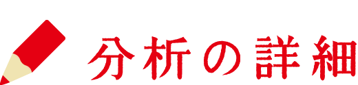 分析の詳細