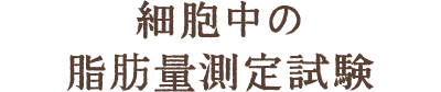 細胞中の脂肪量測定試験