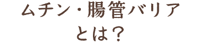 ムチン・腸管バリアとは？