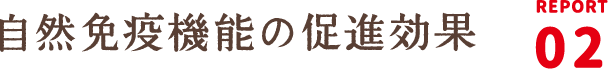 REPORT02：自然免疫機能の促進効果