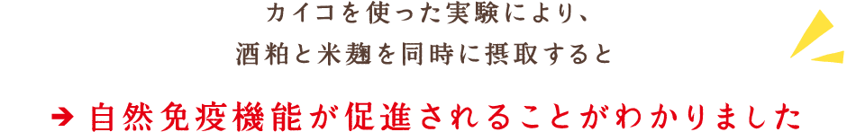 カイコを使った実験により、酒粕と米麹を同時に摂取すると自然免疫機能が促進されることがわかりました