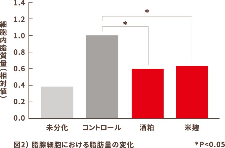 図2）脂腺細胞における脂肪量の変化