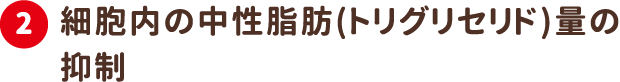 2.細胞内の中性脂肪（トリグリセリド）量の抑制