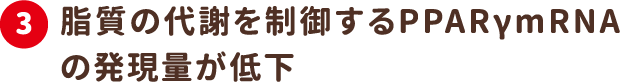 3.脂質の代謝を制御するPPARγmRNAの発現量が低下