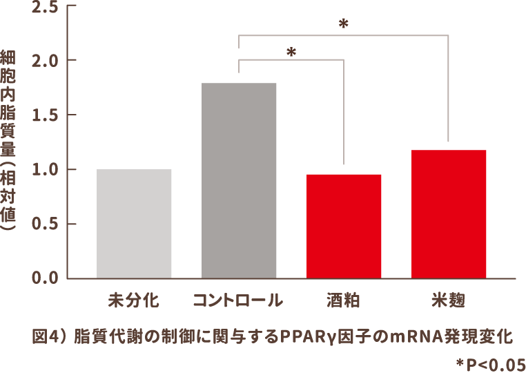 図4）脂質代謝の制御に関与するPPARγ因子のmRNA発現変化