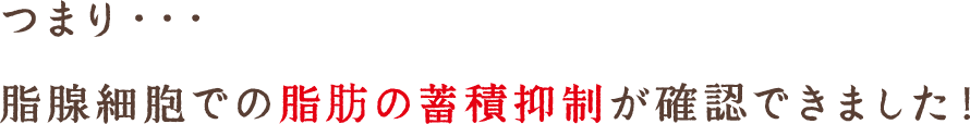 つまり…脂腺細胞での脂肪の蓄積抑制が確認できました！