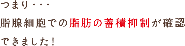 つまり…脂腺細胞での脂肪の蓄積抑制が確認できました！