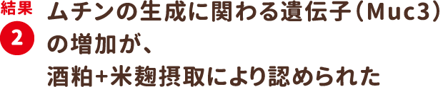 結果2：ムチンの生成に関わる遺伝子（Muc3）の増加が、酒粕+米麹摂取により認められた