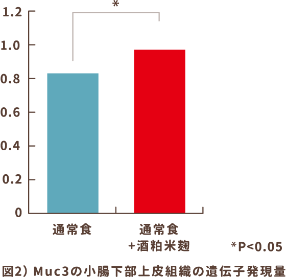 図2） Muc3の小腸下部上皮組織の遺伝子発現量