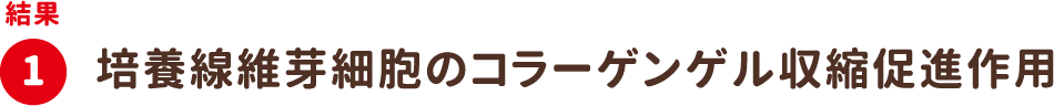 結果1：培養線維芽細胞のコラーゲンゲル収縮促進作用