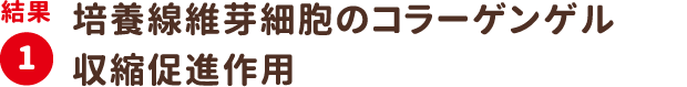 結果1：培養線維芽細胞のコラーゲンゲル収縮促進作用