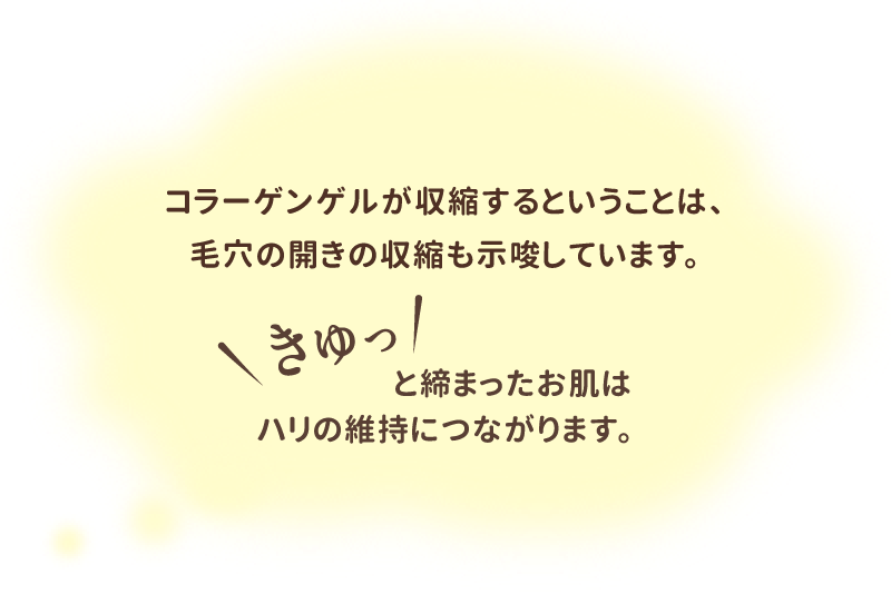 コラーゲンゲルが収縮するということは、毛穴の開きの収縮も示唆しています。きゅっと締まったお肌はハリの維持につながります。