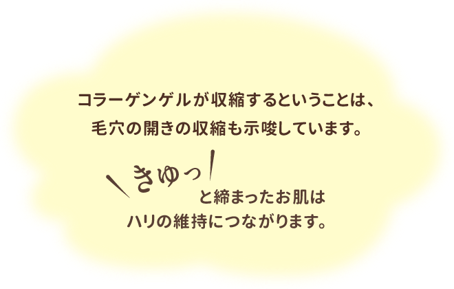 コラーゲンゲルが収縮するということは、毛穴の開きの収縮も示唆しています。きゅっと締まったお肌はハリの維持につながります。