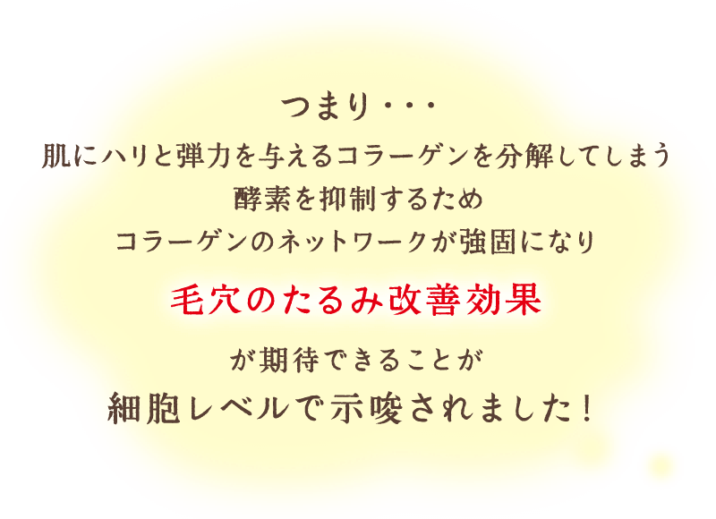 つまり…肌に弾力を与えるコラーゲンを分解してしまう酵素を抑制するためコラーゲンのネットワークが強固になり、毛穴のたるみ改善効果が期待できることが細胞レベルで確認されました！