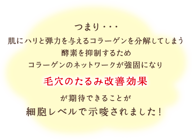 つまり…肌に弾力を与えるコラーゲンを分解してしまう酵素を抑制するためコラーゲンのネットワークが強固になり、毛穴のたるみ改善効果が期待できることが細胞レベルで確認されました！