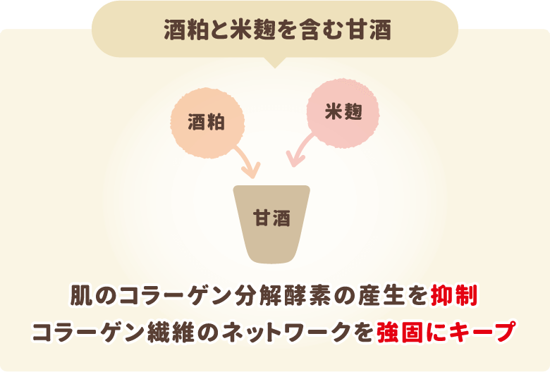 酒粕と米麹を含む甘酒の摂取によって、肌のコラーゲン分解酵素の産生を抑制、コラーゲン繊維のネットワークを強固にキープ