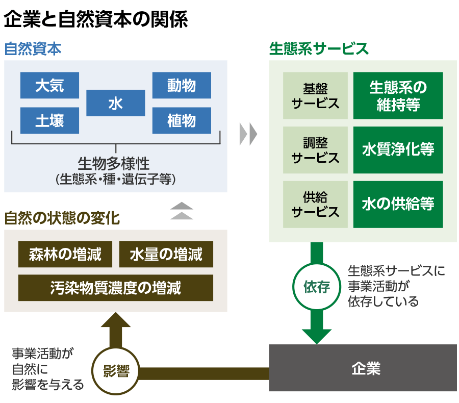 企業と自然資本の関係の図