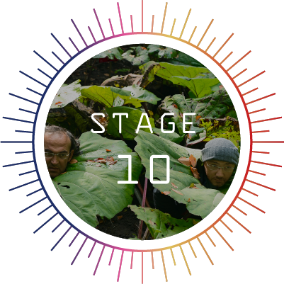 stage 10