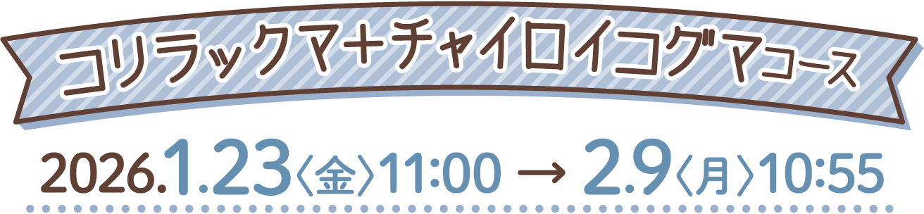 コリラックマ＋チャイロイコグマコース 2026.1.23〈金〉11:00 → 2.9〈月〉10:55