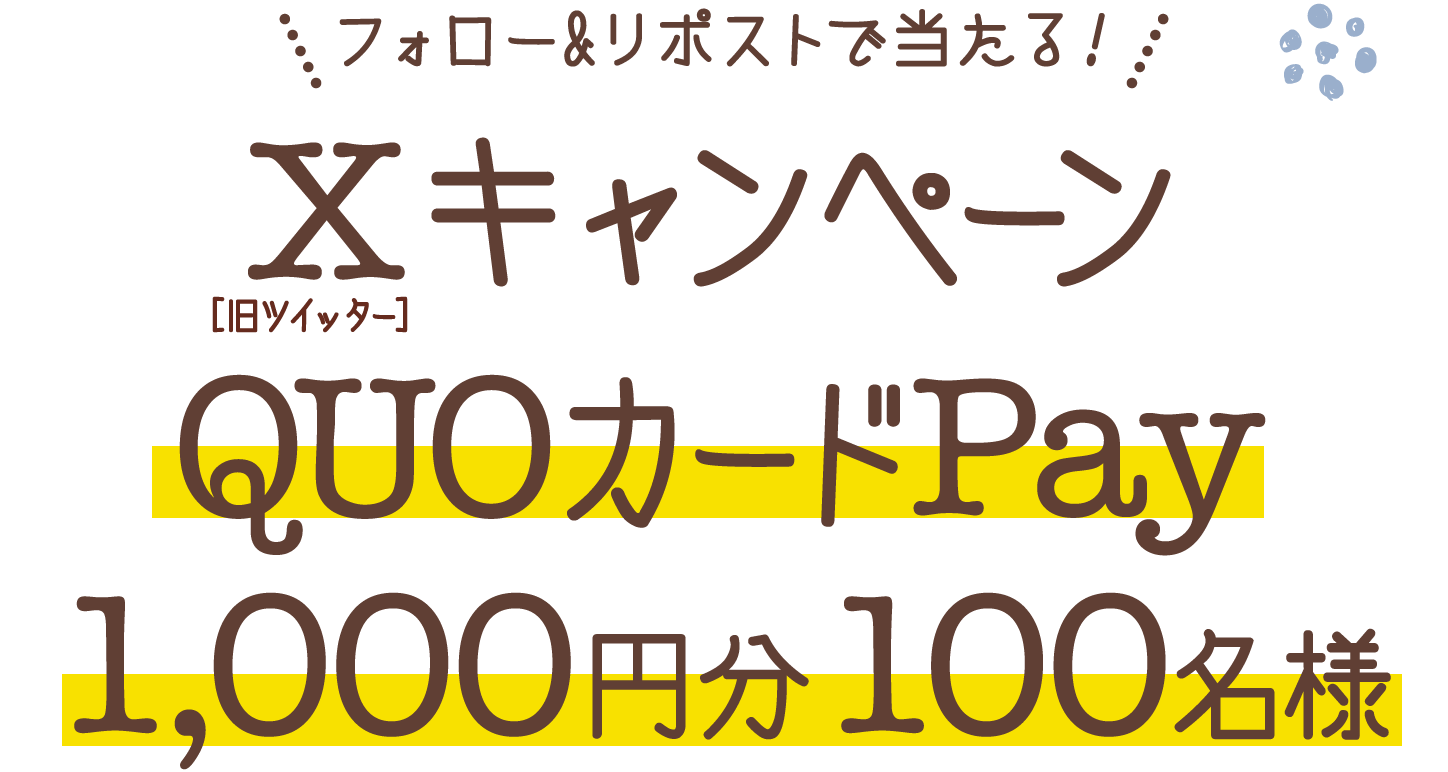 フォロー&リポストで当たる！X[旧ツイッター]キャンペーン QUOカードPay1,000円分100名様