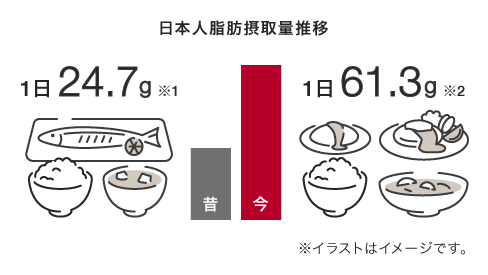 日本人脂肪摂取量推移