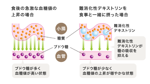 通常時と難消化性デキストリン摂取時の食後血糖値比較