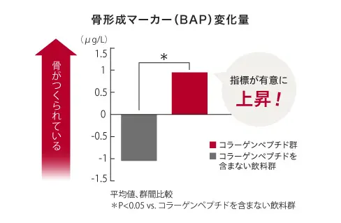 骨形成マーカー（BAP）変化量