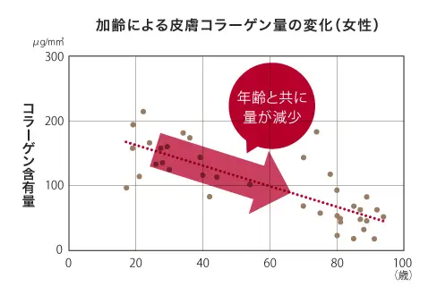 皮膚のコラーゲン量の推移